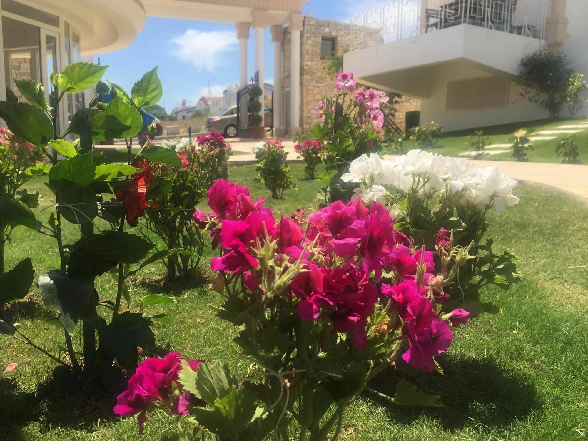 Aria Boutique Hotels Çeşme 외부 사진
